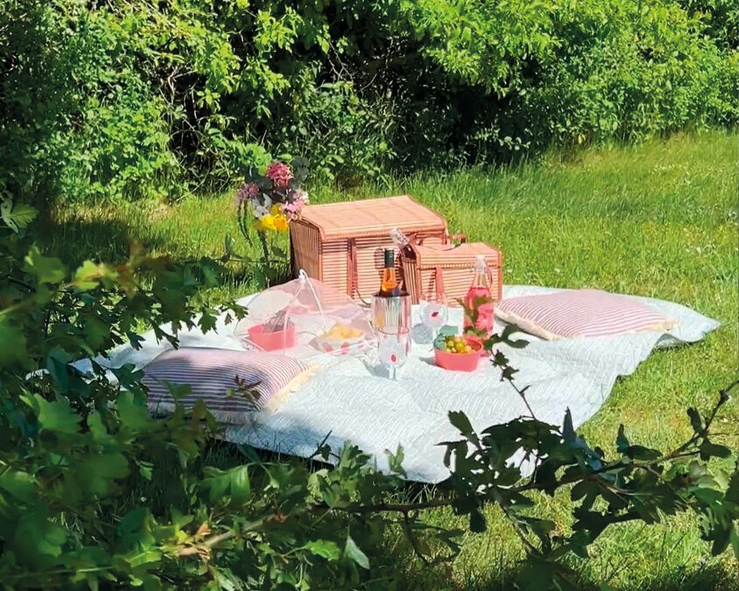 Picnic på græsset dækket op på et tæppe i solen med rosé, frugt, chips og saft.