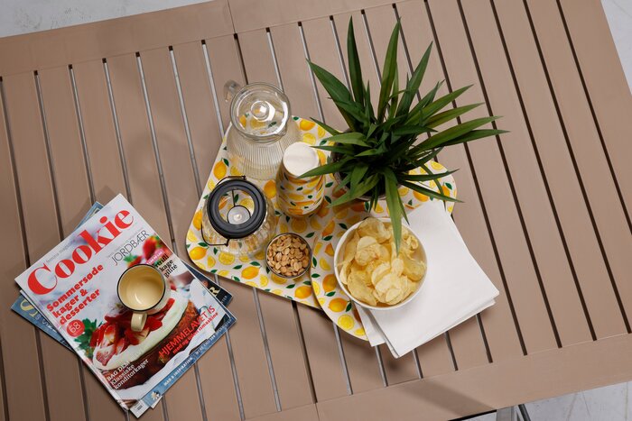 Havebord med bakke, snacks, drikkevarer og grøn plante til afslappede stunder på terrassen