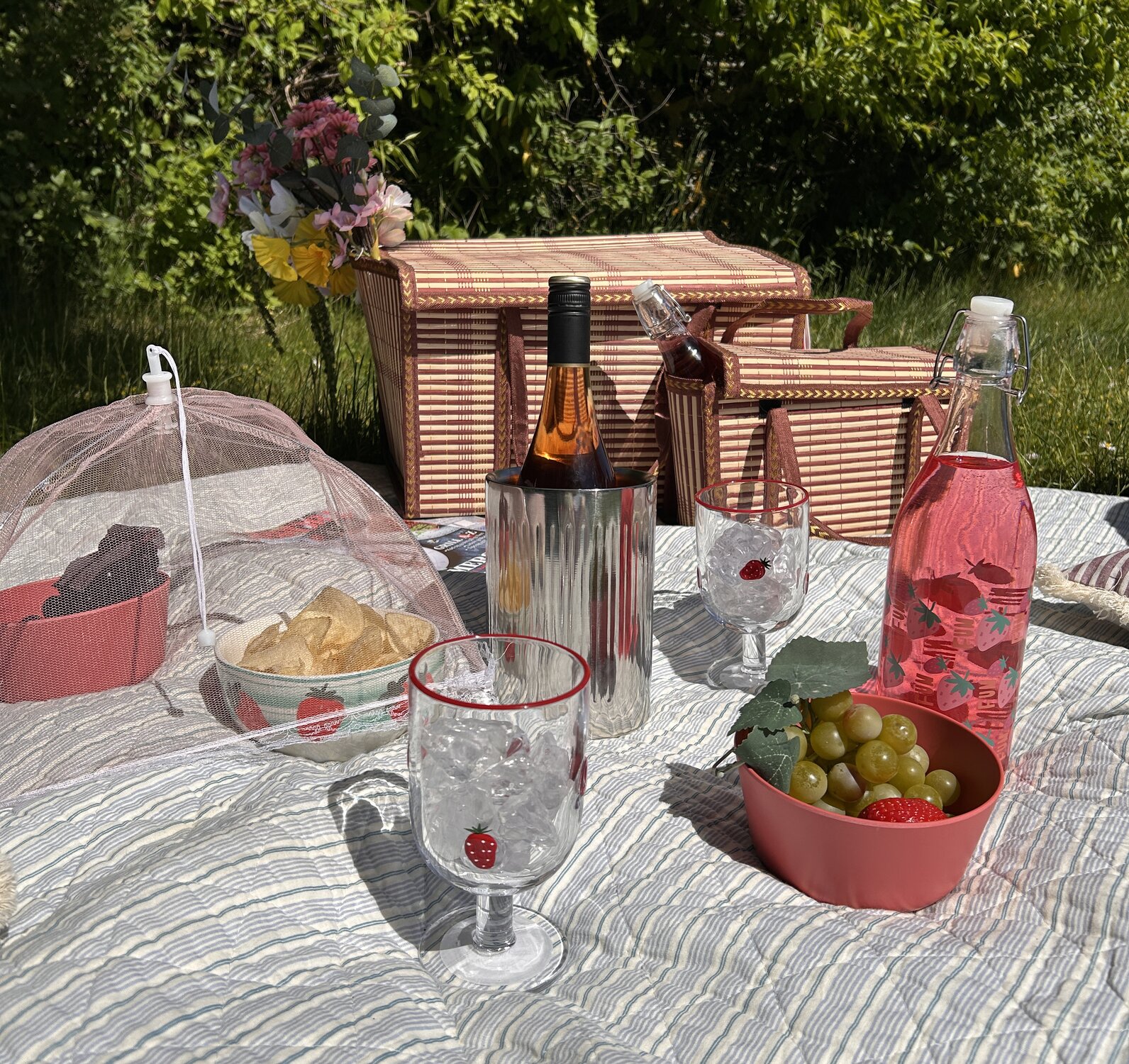 Picnic på græsset dækket op på et tæppe i solen med rosé, frugt, chips og saft.