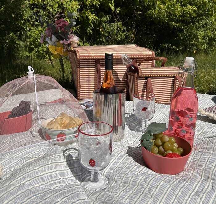 Picnic på græsset dækket op på et tæppe i solen med rosé, frugt, chips og saft.