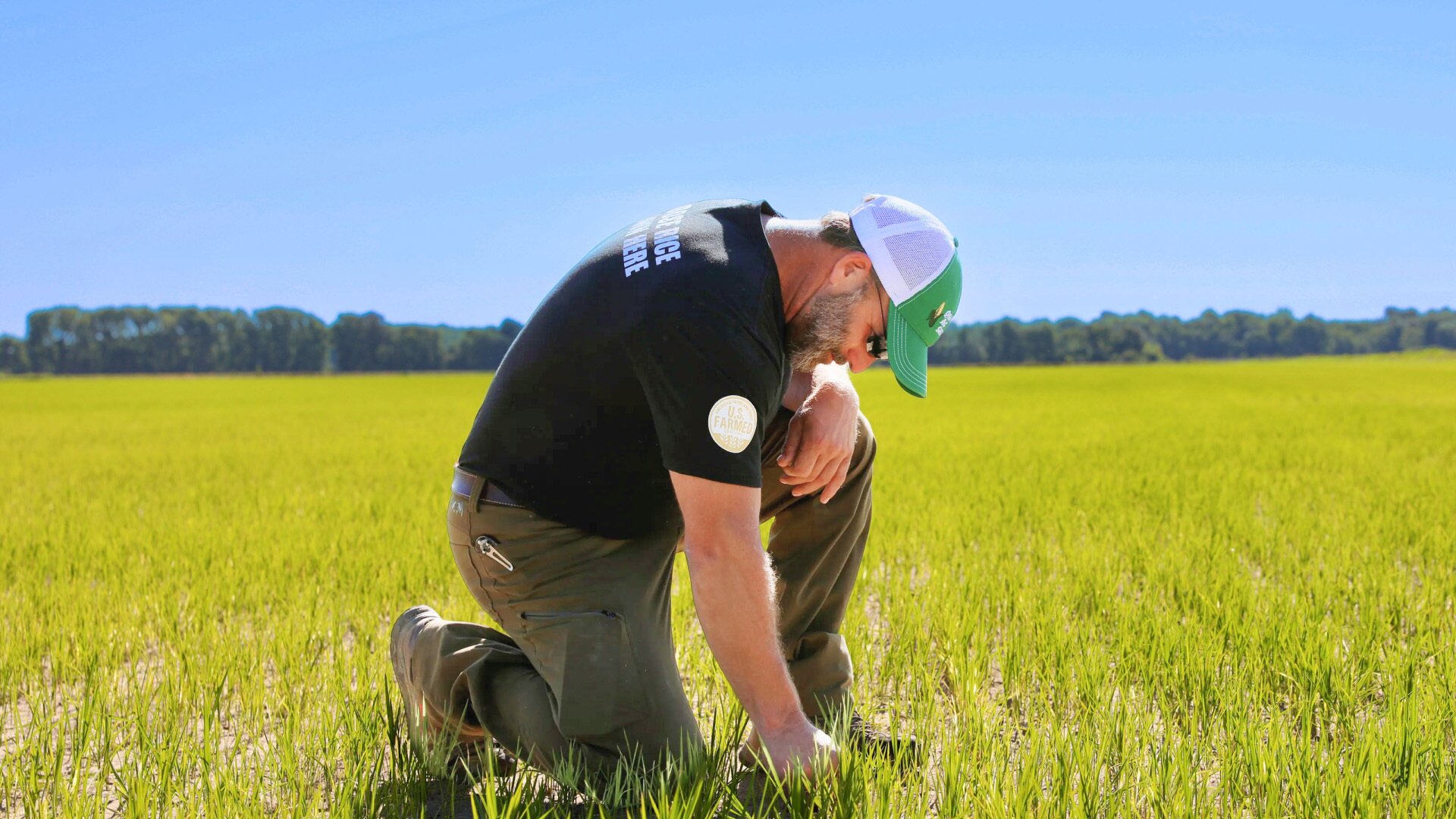 Anheuser-Busch Grants $200,000+ to Support Rice Research and Farmers