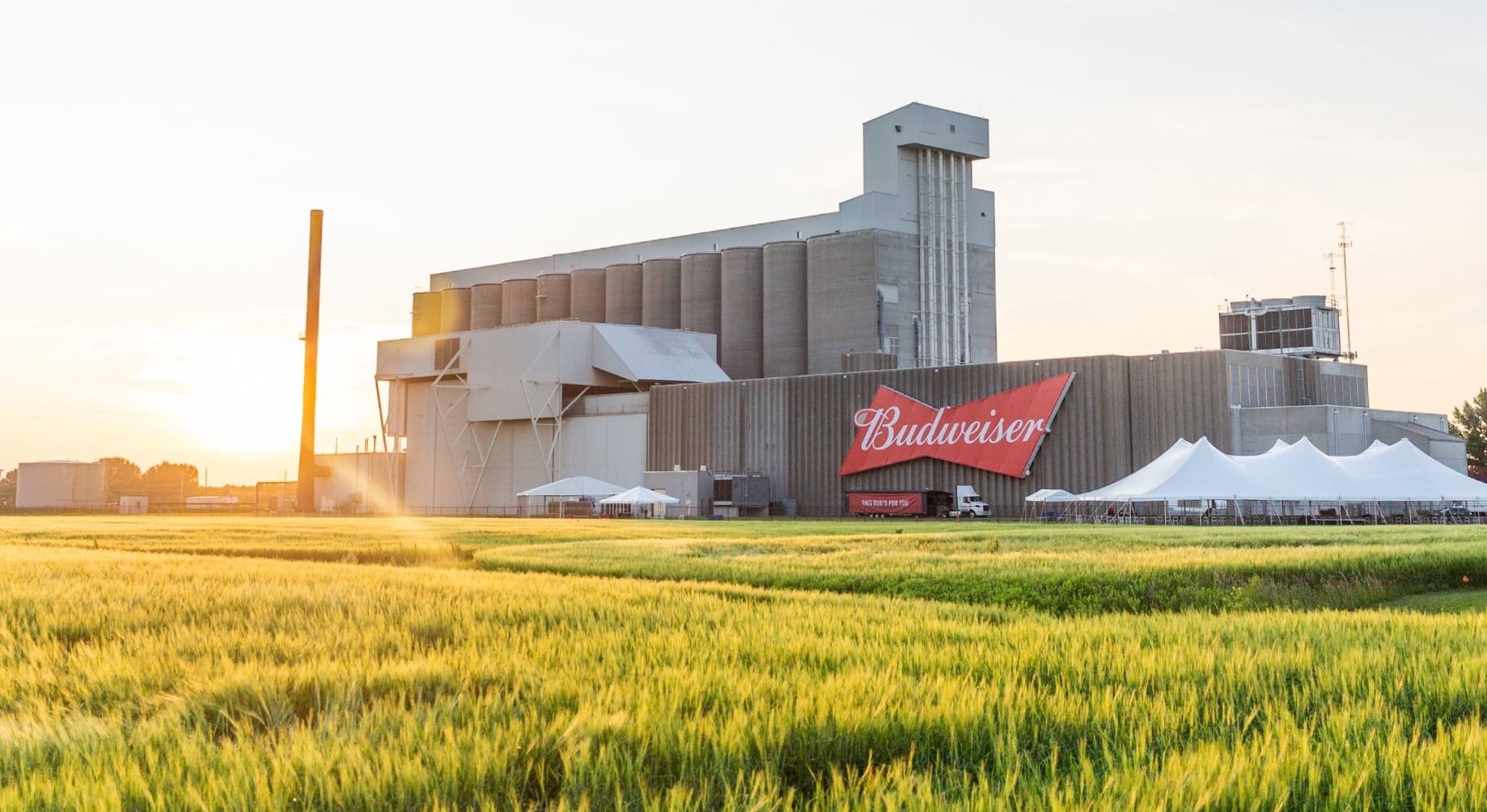 The Anheuser-Busch Foundation Commits More Than $120,000 to Support Sustainable Agriculture Research at Land Grant Universities