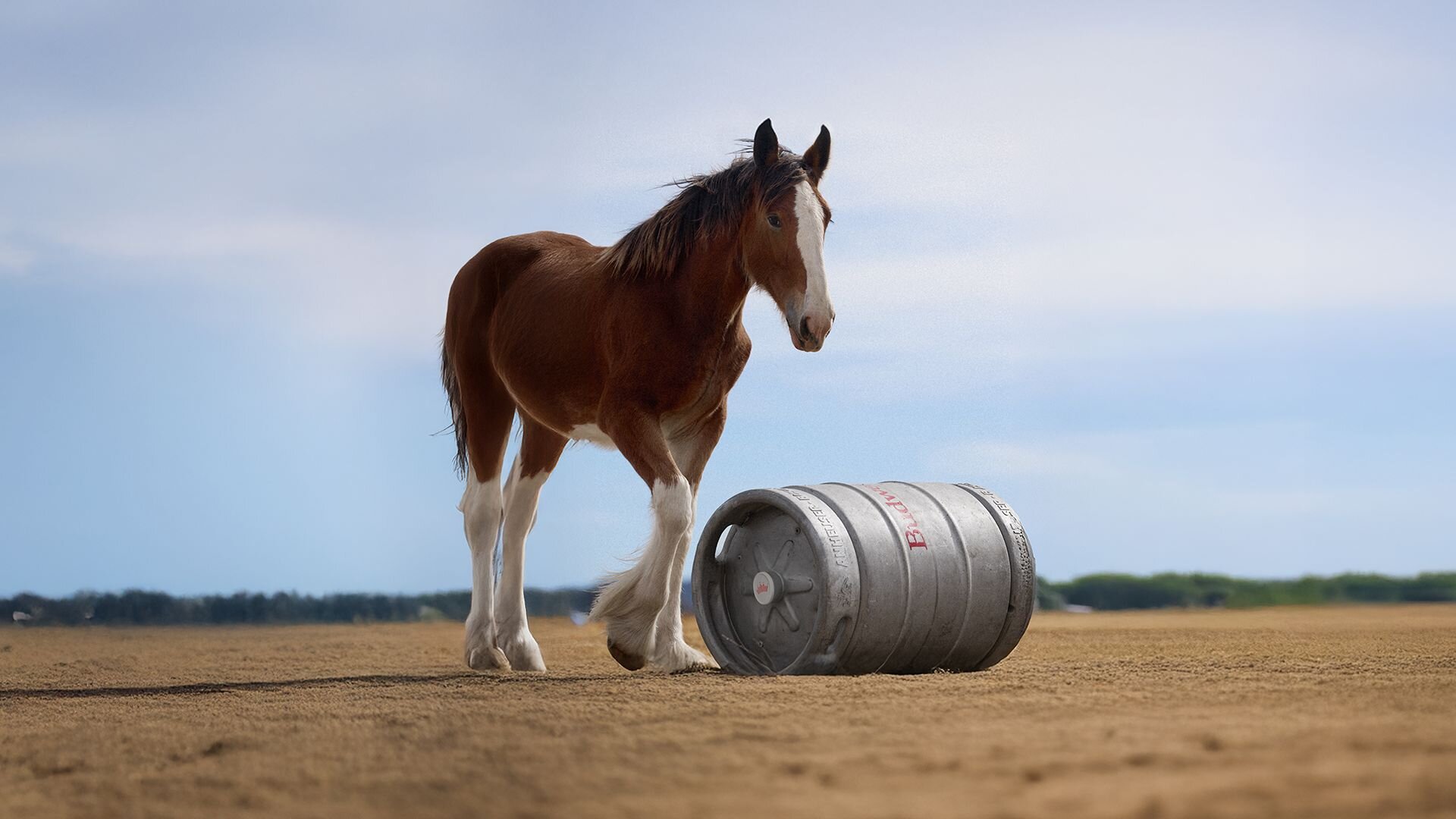 Budweiser Adds Another Chapter To Its Super Bowl Legacy With The Return Of The Legendary Budweiser Clydesdales