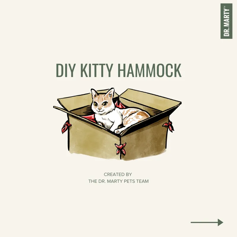 Dr. Marty’s DIY Cat Hammock