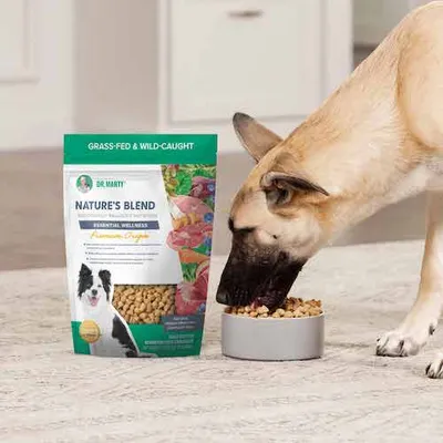 Nature's Blend<br /> Essential Wellness <br />Premium Origin