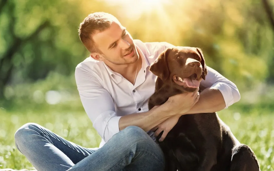 Everyone Loves a Lab Mix. Why Are They So Popular? | Dr. Marty