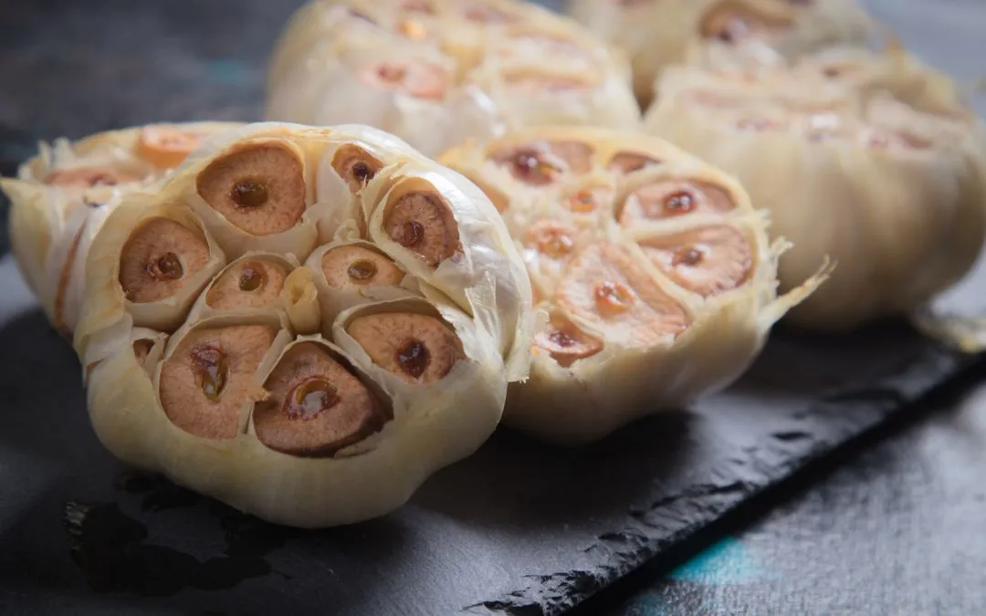 Pet Food Safety: Is Garlic Safe for Dogs to Eat? - Dr. Marty Pets