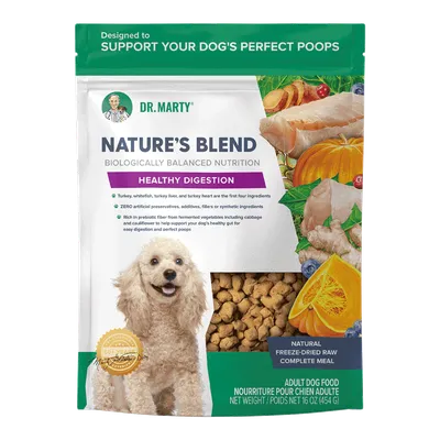 Nature's Blend <br> Healthy Digestion