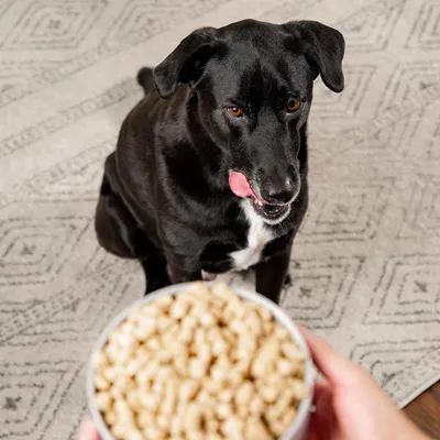 Nature's Blend <br> Radiant Select