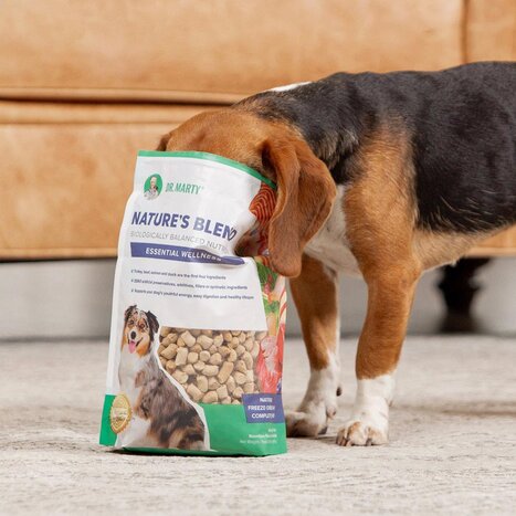 Dog eating Nature's Blend straight out of the bag