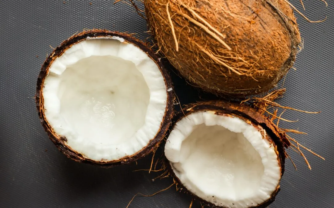 The Truth About Coconut Oil - Dr. Marty Pets