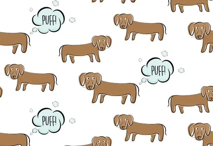 Home Remedies for Bloating & Passing Gas in Dogs