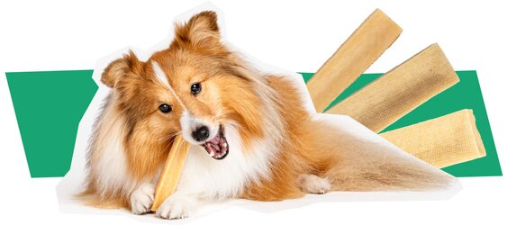 Image of dog chewing on a piece of Bark Stoppers