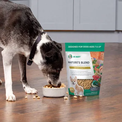 Nature’s Blend <br> Active Vitality