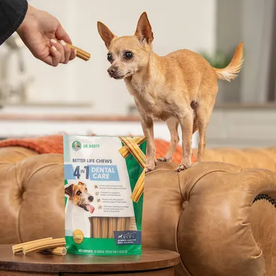 Better Life Chews - <br> Dental Care