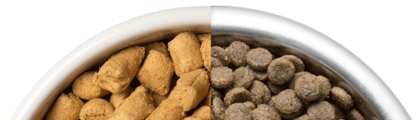 comparison image of freeze-dried raw food and kibbles