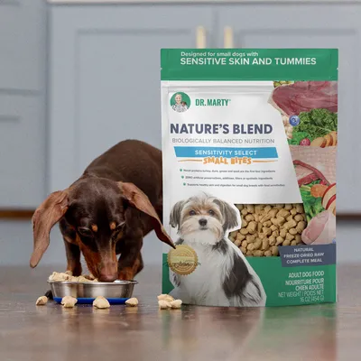 Nature's Blend Sensitivity Select Small Bites