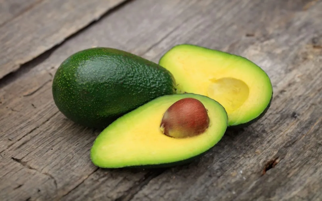 Can Dogs Eat Avocado? (here's the facts!) | Dr. Marty Pets