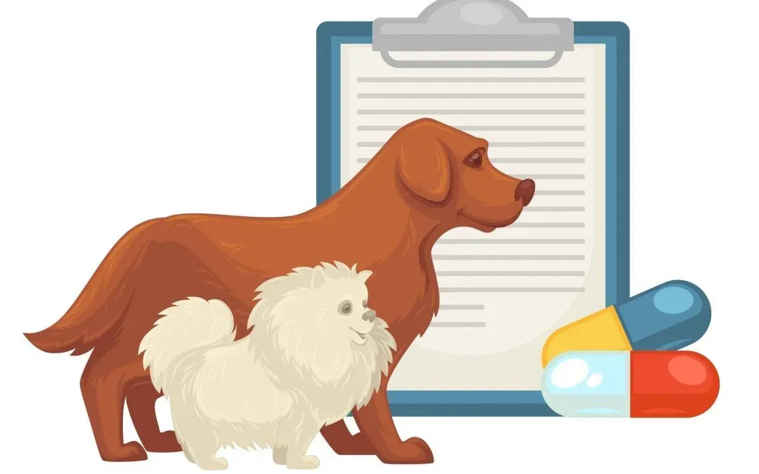 Dog Probiotics: Can They Really Help Your Dog’s Digestion?