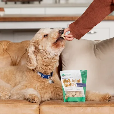 Better Life Bites - <br />Hip & Joint Health