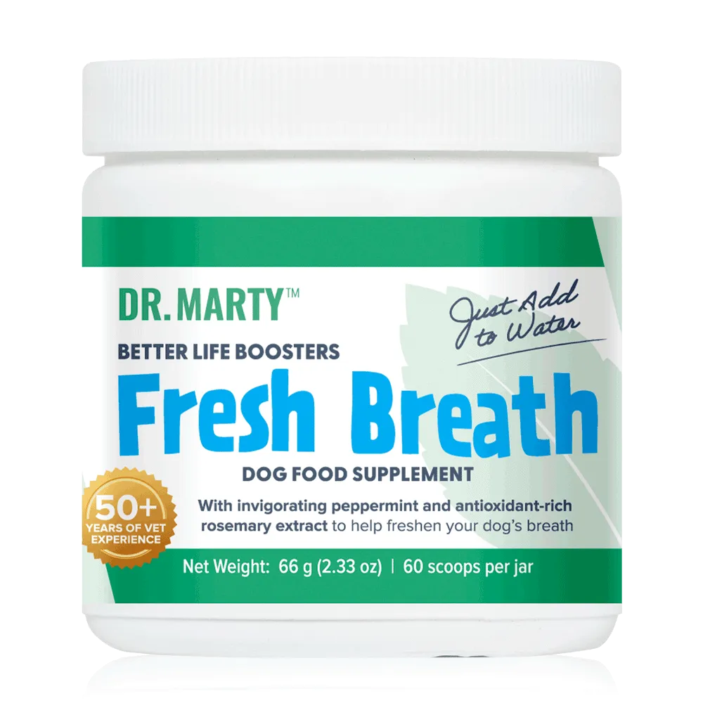 Better Life Boosters - <br /> Fresh Breath