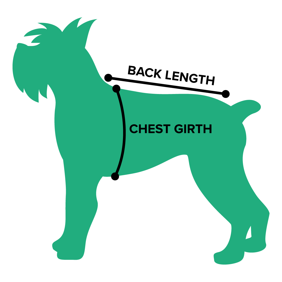 Pet measurement diagram