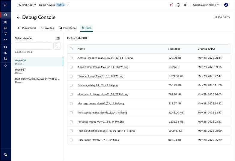 Debug Console Files view for listing and managing files on a channel