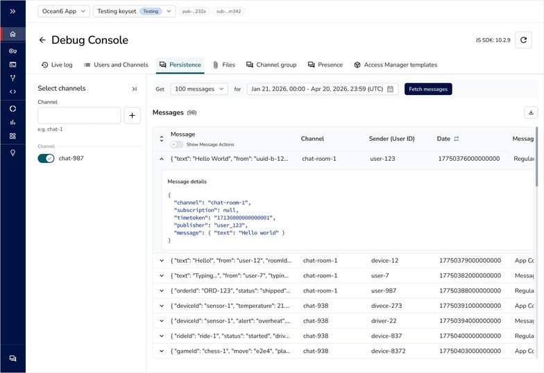 Debug Console Persistence view with stored-message search and filters
