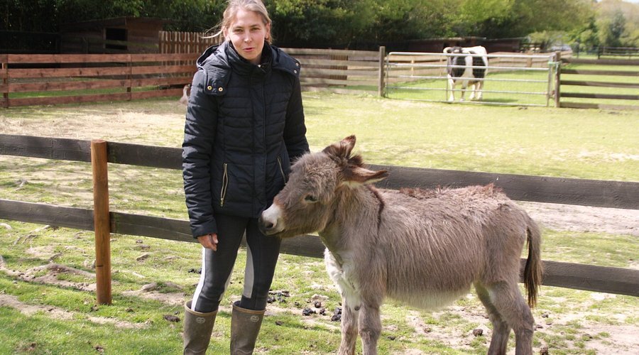 Activity Ferme nature "Chez Poly"