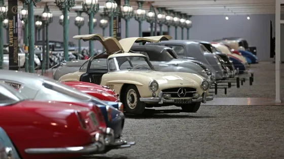 Activity Musée national de l'automobile