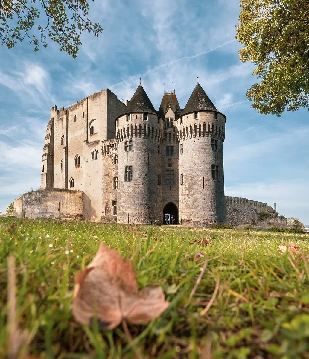 Activity Château des Comtes du Perche