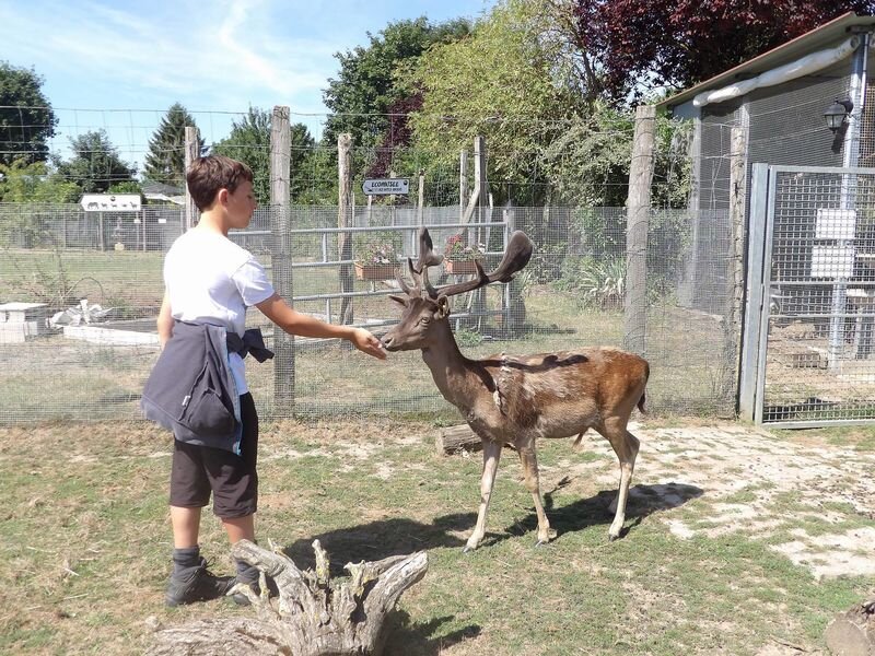 Activity Ferme pédagogique Edentara