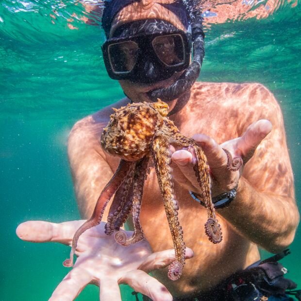 Help our oceans