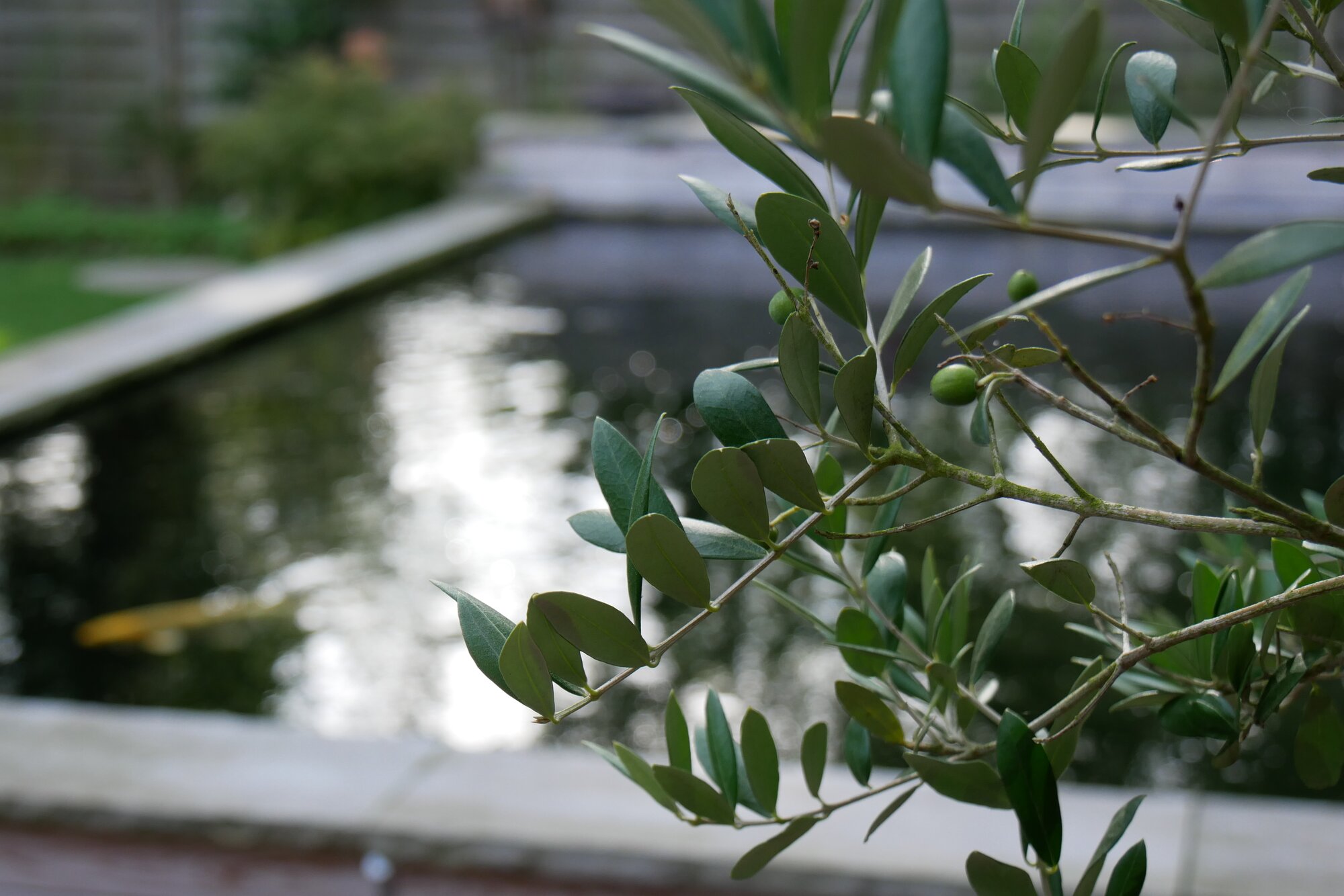 Naturteich-Installation