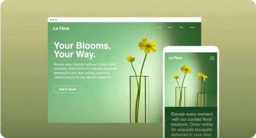 Build a functional website