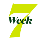 Week 7