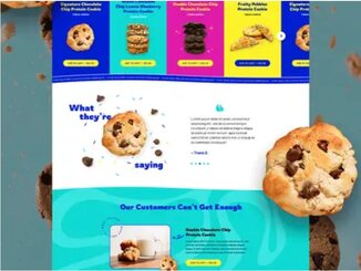 Shopify Developer