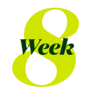 Week 8