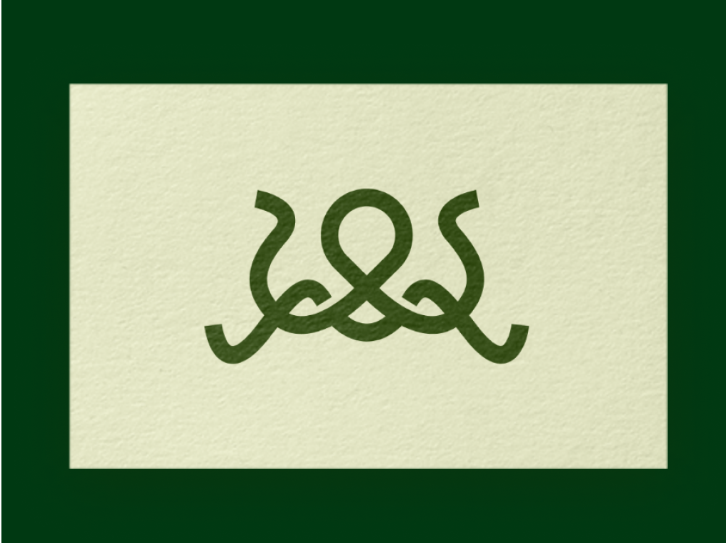 kraken code logo - spencer rice