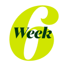 Week 6