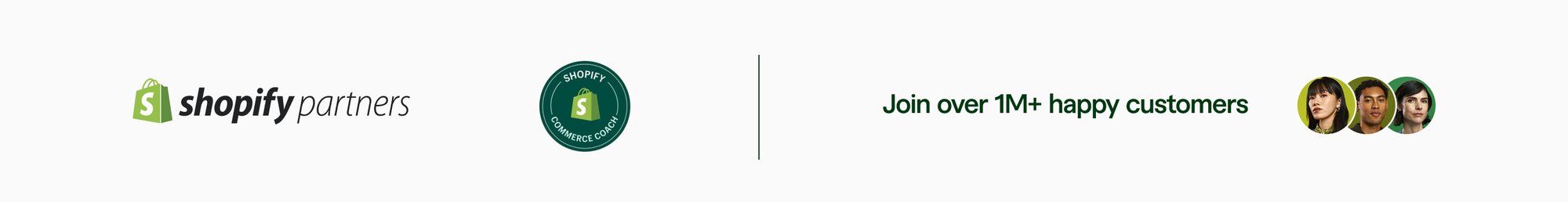 Shopify partners