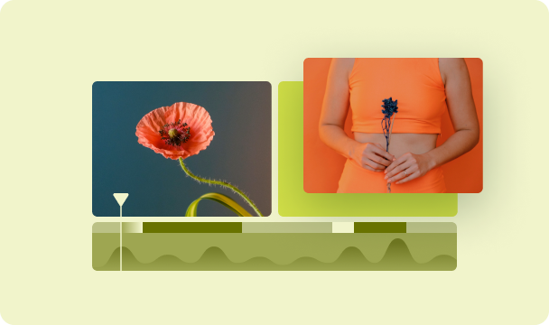 Video & animation