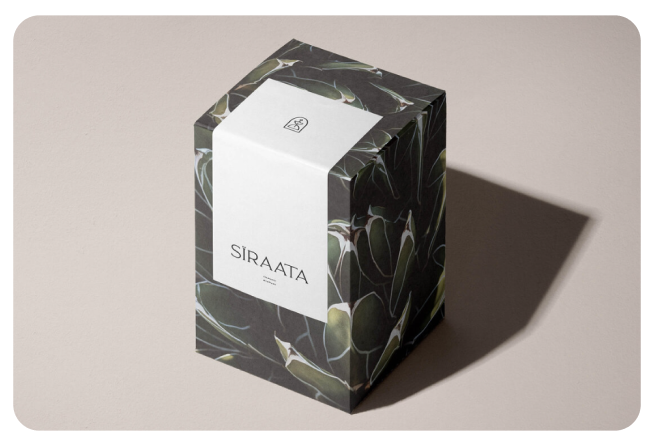 Lara Patricia Fuentes logo on box