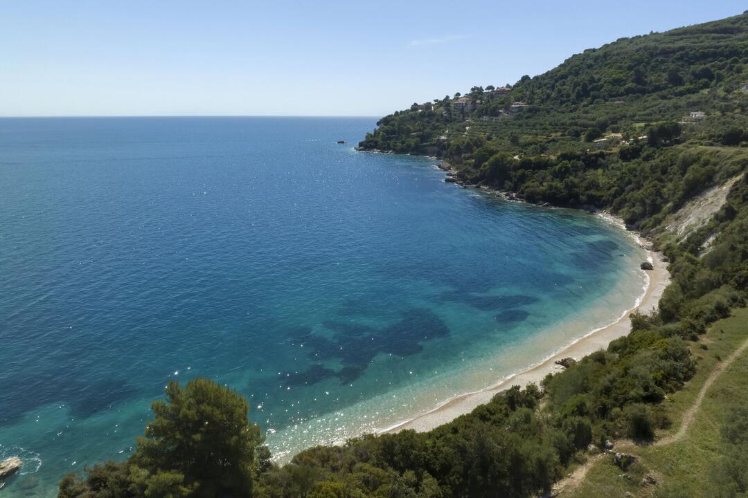 Region Image