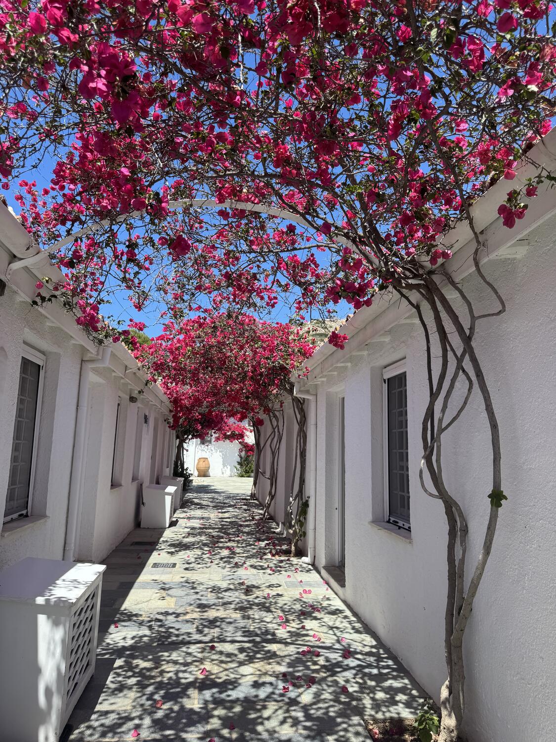 The picturesque streets of Spetses Town.