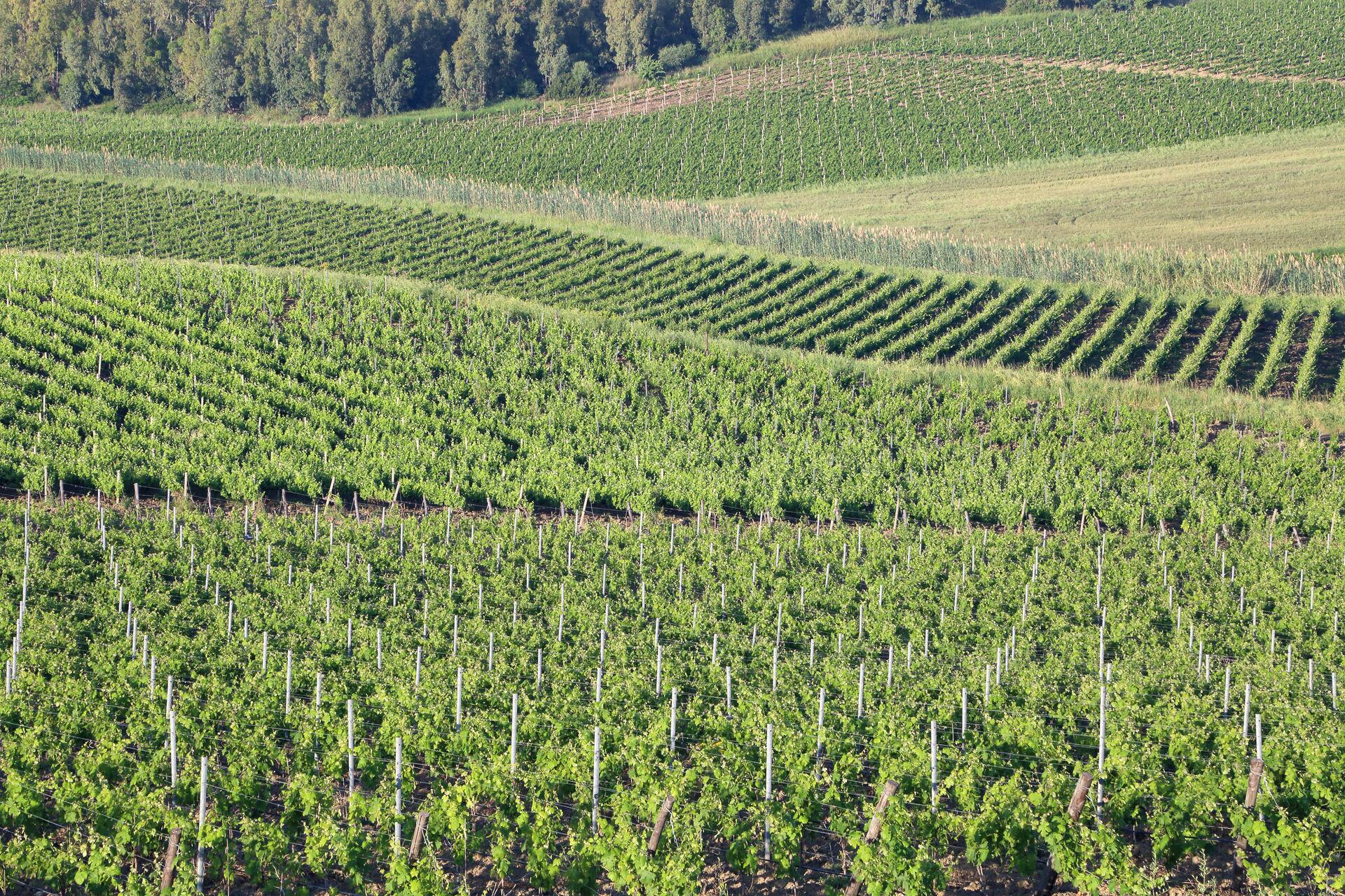 Things to do in Mazara del Vallo