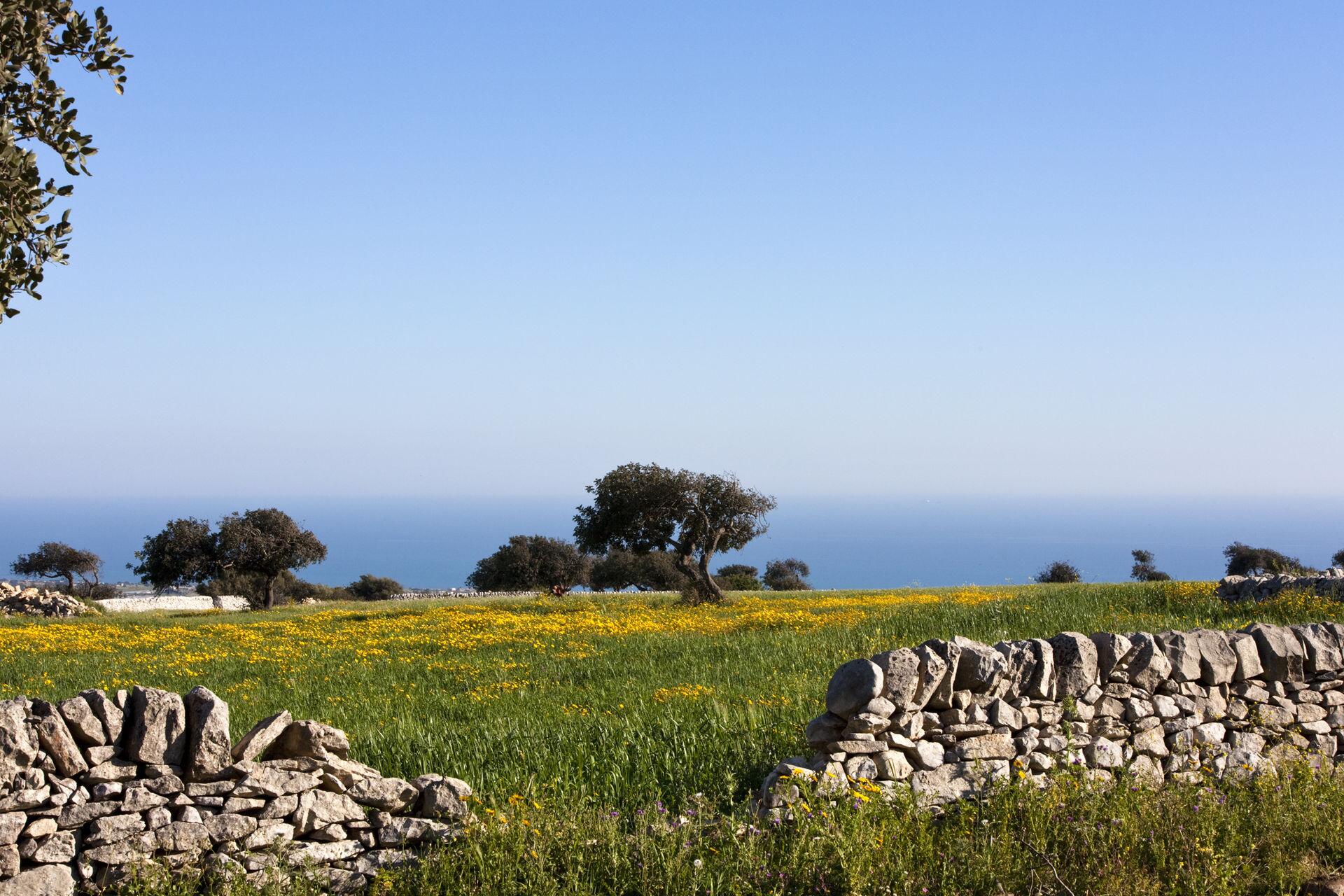 The countryside around Scicli, southeast Sicily