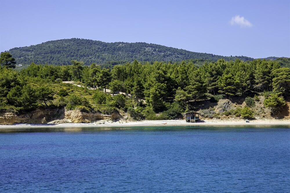 Alonissos Marine Park Flora