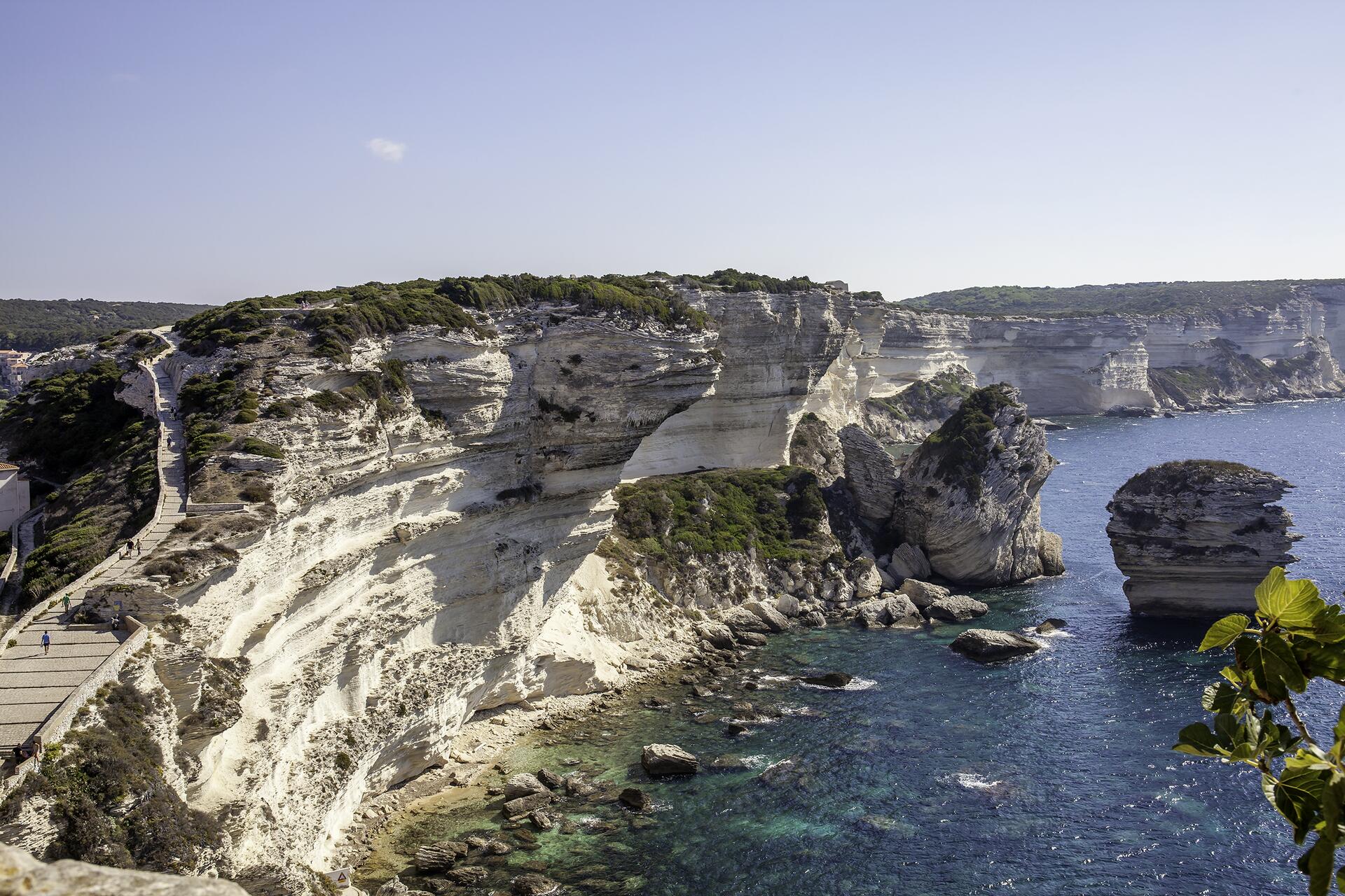 Bonifacio