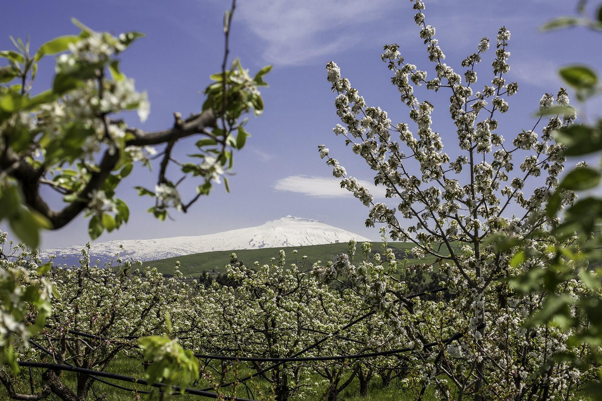 Natural Reserve Sicily: 7 Breathtaking Parks & Protected Areas to Explore